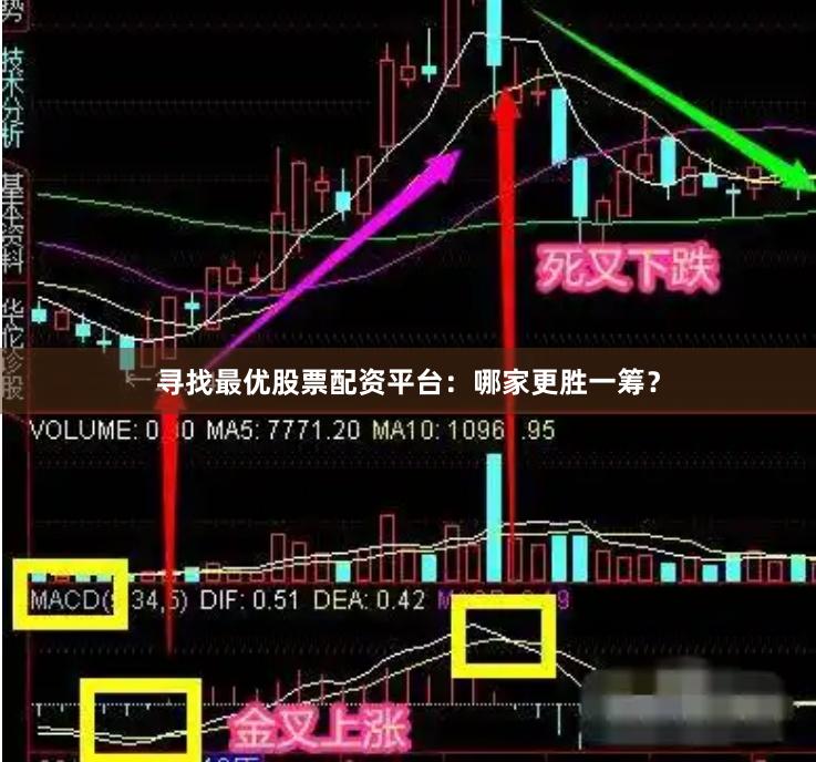 寻找最优股票配资平台：哪家更胜一筹？