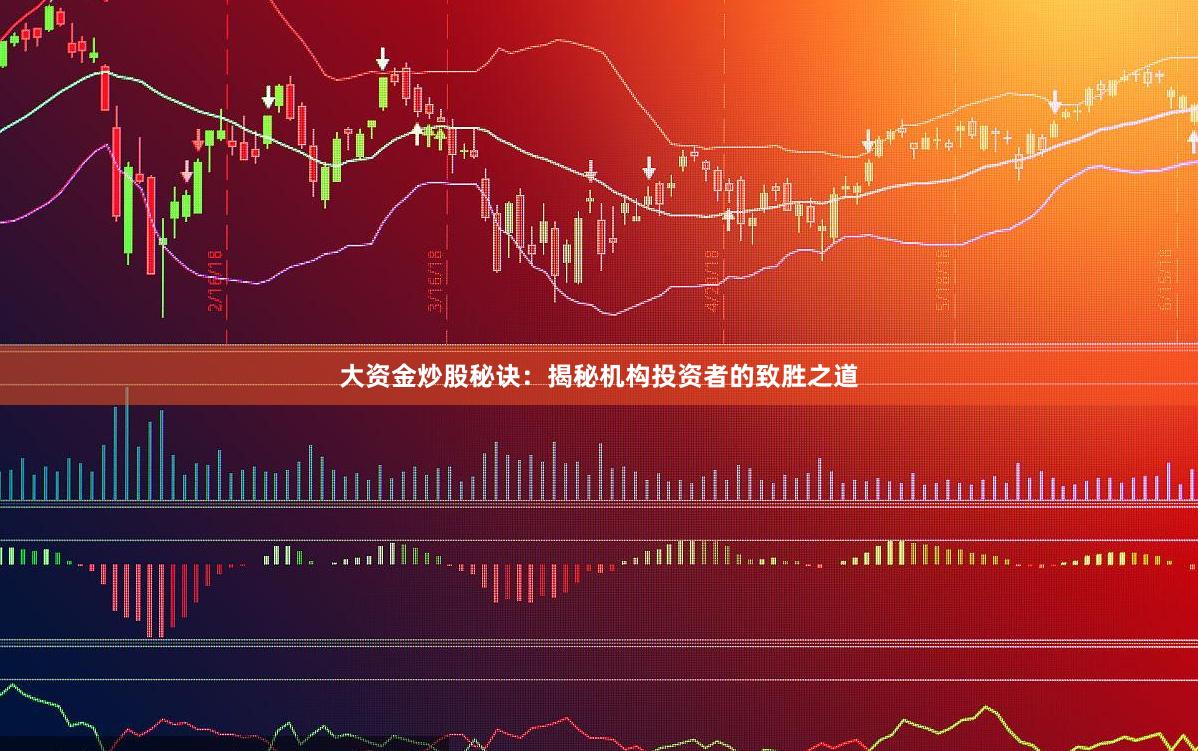 大资金炒股秘诀：揭秘机构投资者的致胜之道