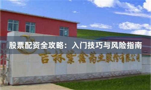 股票配资全攻略：入门技巧与风险指南